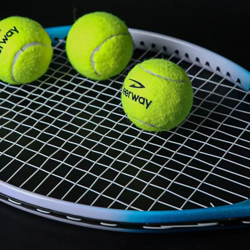 6/12 stücke Tennisbälle mit Mesh Tragen Tasche Praxis Ball Hohe Elastizität Haustier Hund Spielen Bälle Outdoor Training sport Wettbewerb – Detail 6