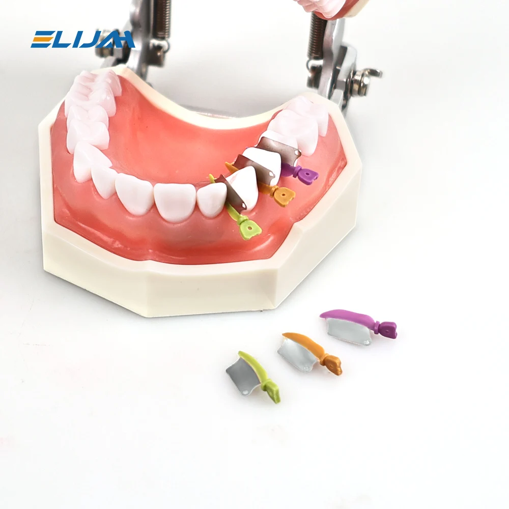 Plexiglass 5 Mm Cunei Parafango A Matrice Dentale Con Lama Metallica Concavo - Foto 5