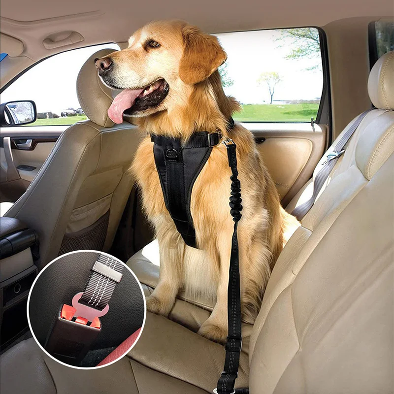 Cintura di Sicurezza per Cani da Auto con Cinghia Ammortizzante e Linea Riflettente, Lunghezza Regolabile, Adatta a Qualsiasi Cane