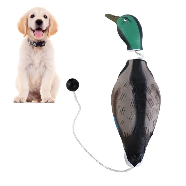 Pooch Buddy Duck Bumper Toy for Training Hunting Dogs, The Bird Dummy  Teaches Mallard and Waterfowl Game Retrieval - Duck Scent Compatible -  Suitable