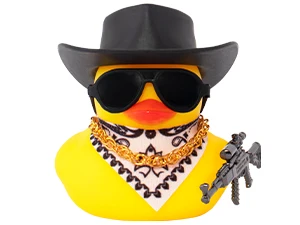 duck dashboard car