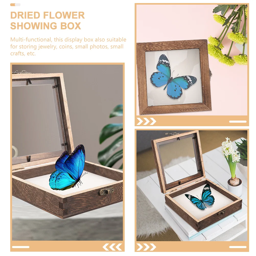 Acrylic Wood Specimen Display Box display case Vintage Insect Case Transparent Lid Jewelry Storage Frame