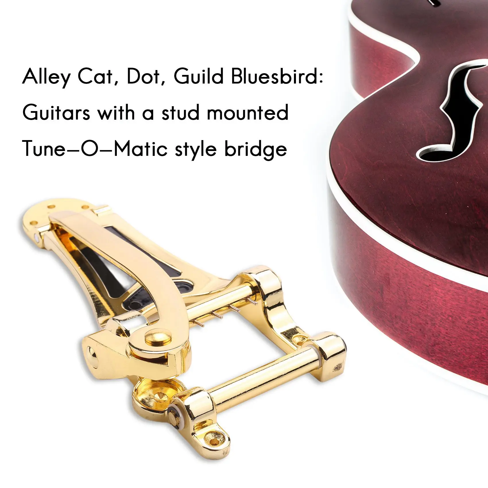 fender para taylor bigsby es355 epiphone 01