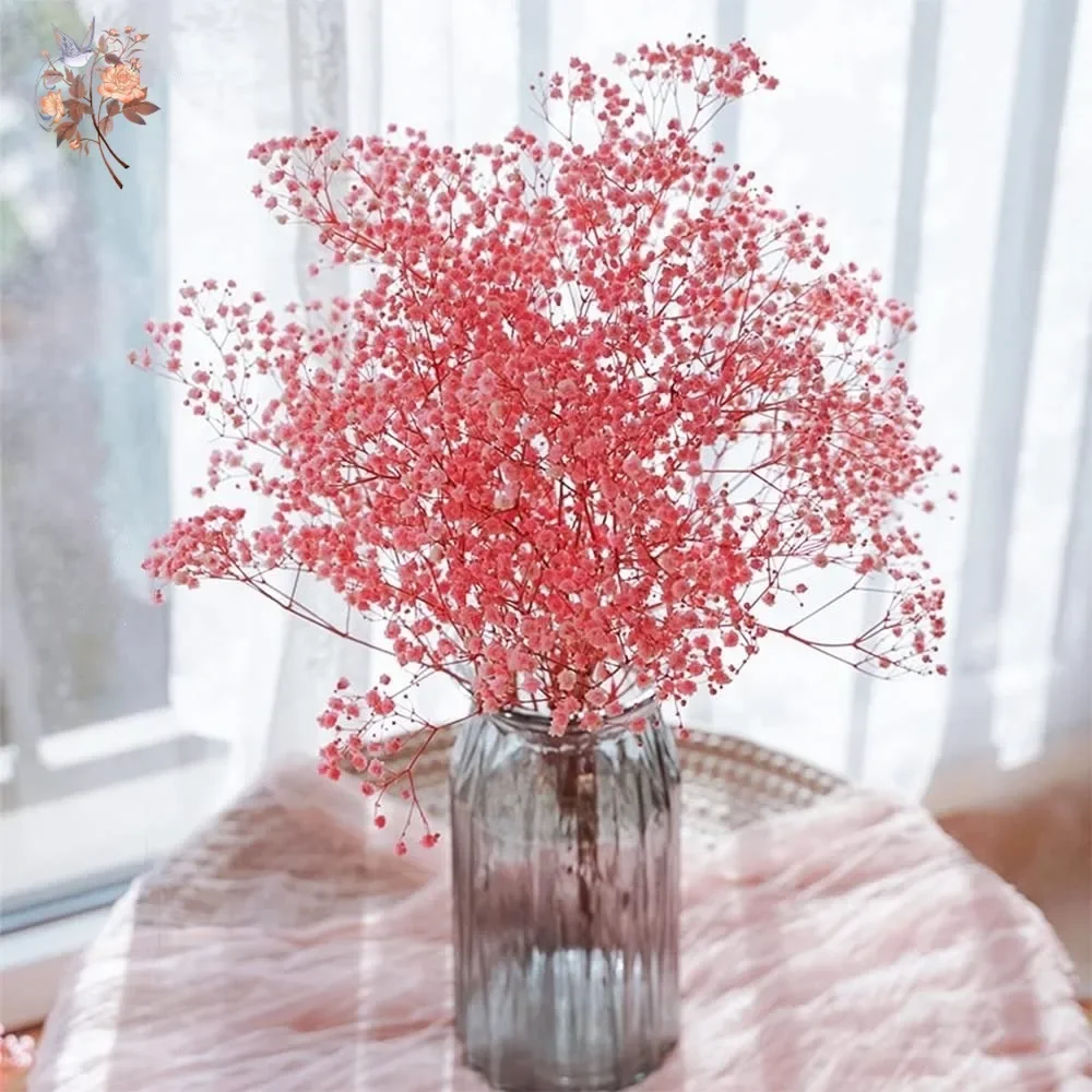 

Natural Dried Flowers Preserved Gypsophila Bouquet Wedding Home Decor Paniculata Baby's Breath Flower for Photo Props Decoration