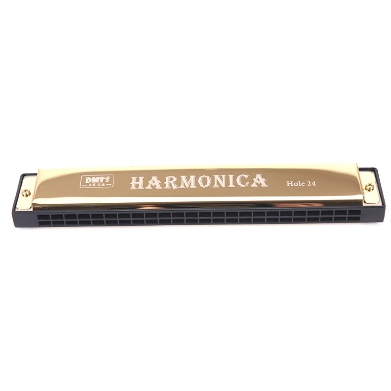 24 Hole C Blowing Double Row Blues Harmonica Beginners, diatonic harmonica, kids harmonica