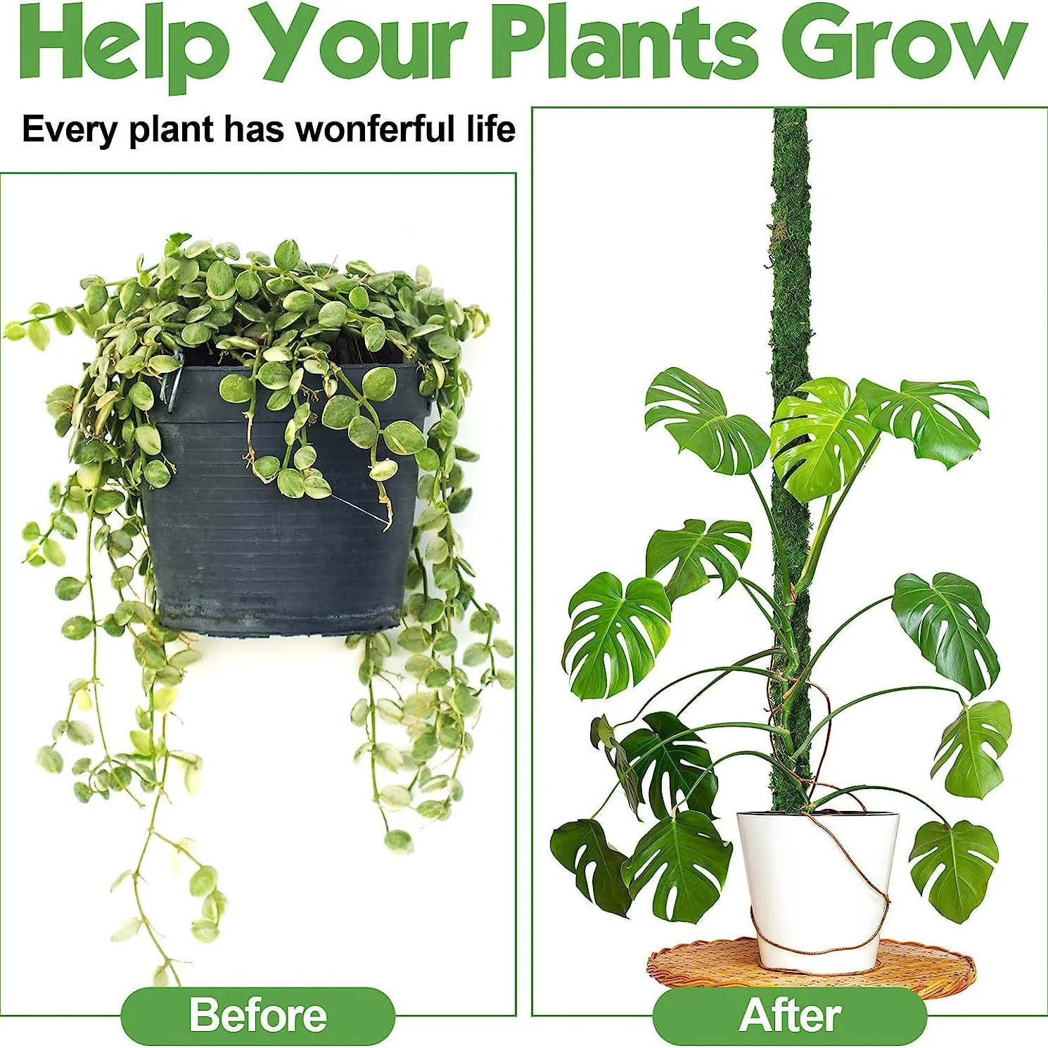 Bendable Moss Pole for Climbing Plants