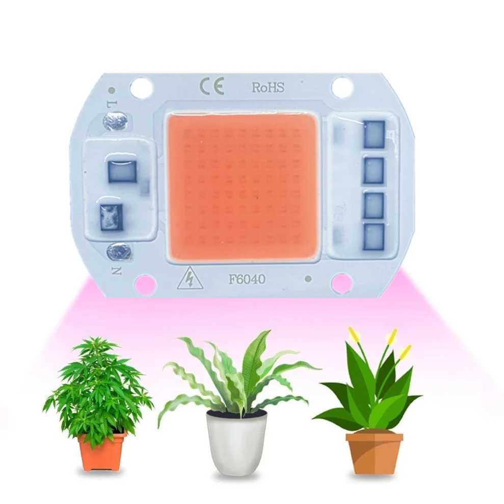 LED 램프 칩, COB 칩, 드라이버 필요 없음, 스포트라이트, 풀 스펙트럼, DIY 꽃 조명, 220V, 20W, 30W, 50W