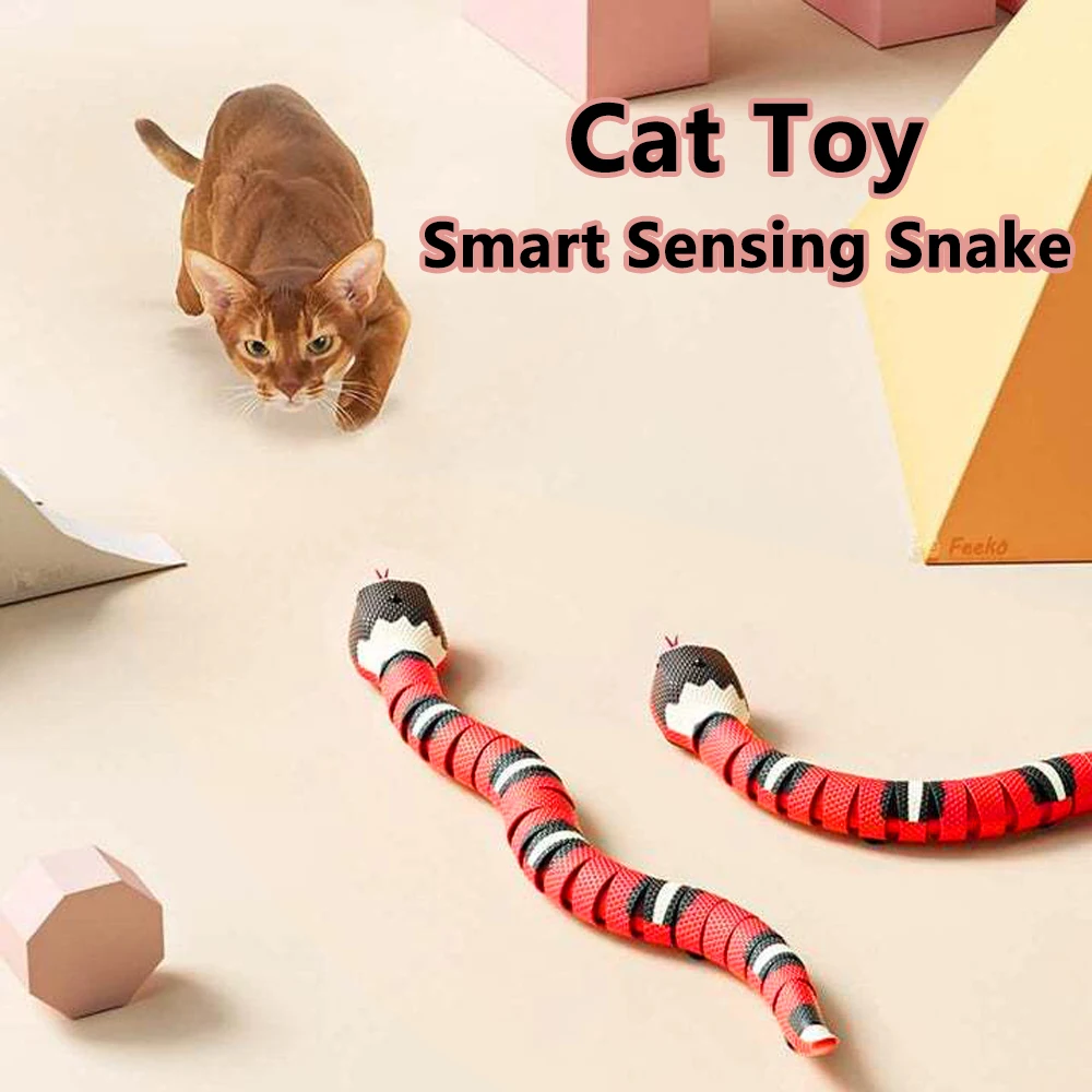Jouet serpent télécommandé RC pour chat chaton, contrôleur interactif en  forme d'œuf, serpent à sonnette, jouet de jeu pour animal de compagnie -  AliExpress