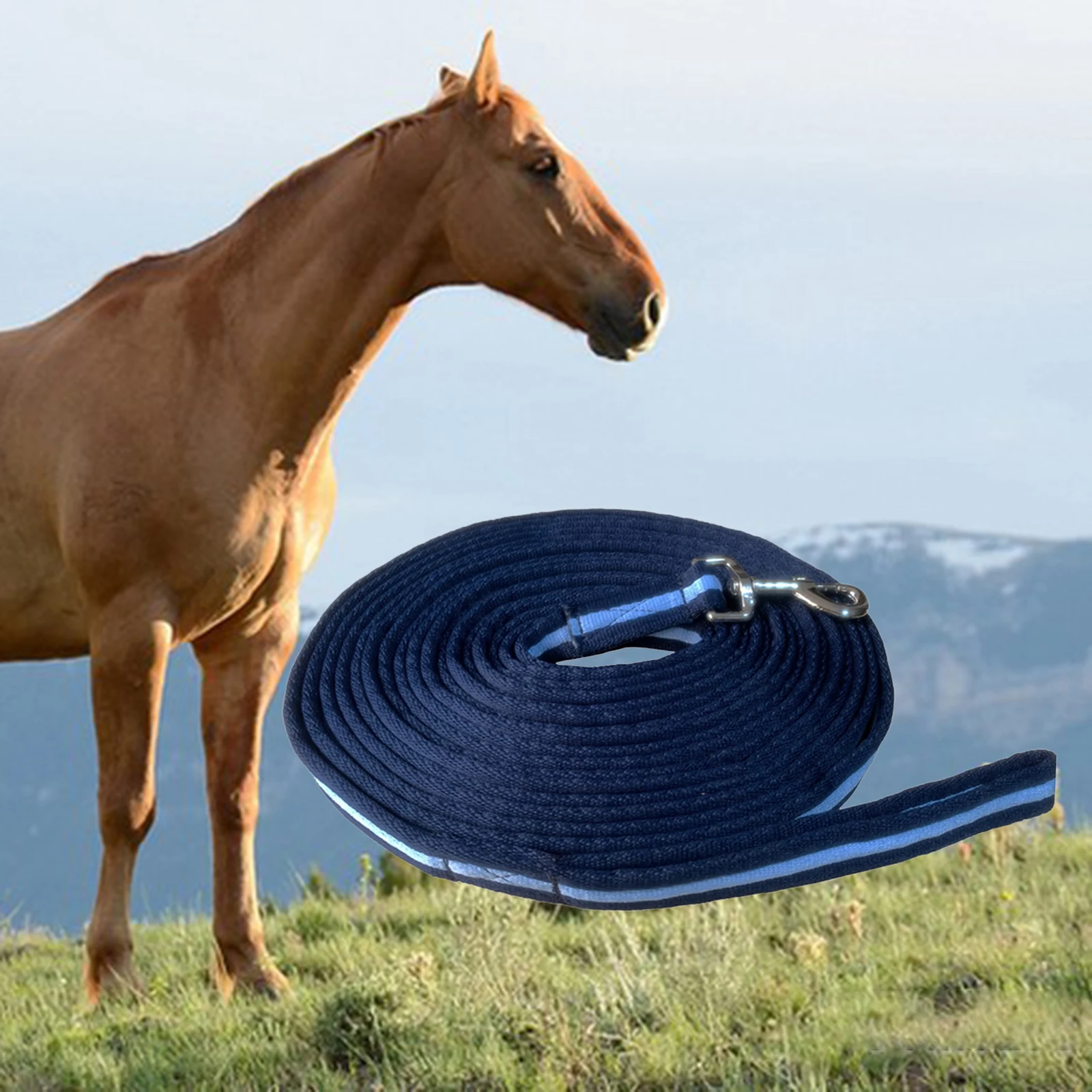 8m Horse Lead Rope Lunge Line Strong Thickened Dog Horse Training Leash Thickened Heavy Duty Strong  Obedience Recall Rope 4