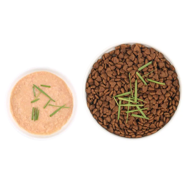 1Set Pet Cat Sprout Edény Termesztése Hidroponikus Növényi Macska Füves Csírázás Emésztés Indító Üvegházhatású Növekedés Doboz - Image 5