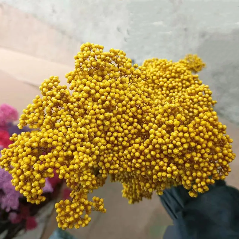 

50g Natural Millet Fruit Dried Flower Artificial Flowers Christmas Decoration 2023 Free Shipping Holiday Gifts Pampas Grass