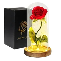 Acrylic Dome Eternal Rose Artificial Flowers 1