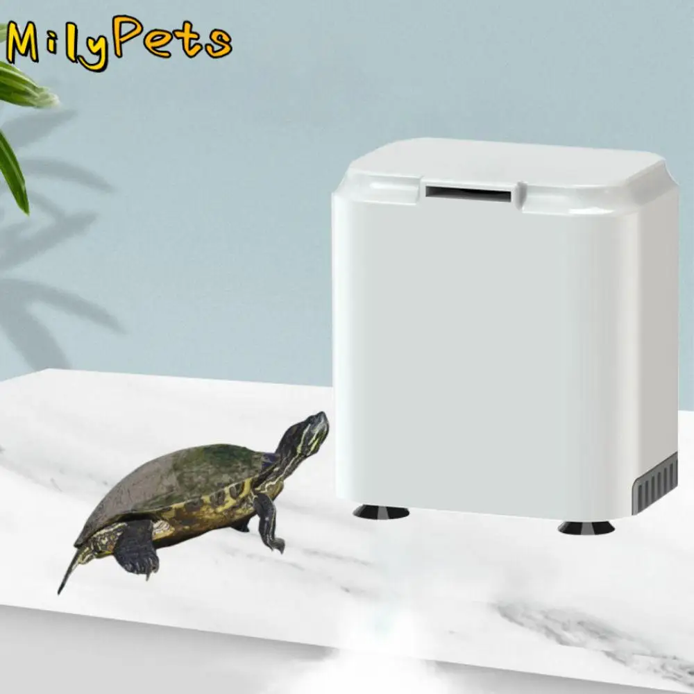 3 in 1 Low Water Level Turtle Filter Plastic Silent Waterfall Turtle Filter Pump 2W Mini For Fish Tank