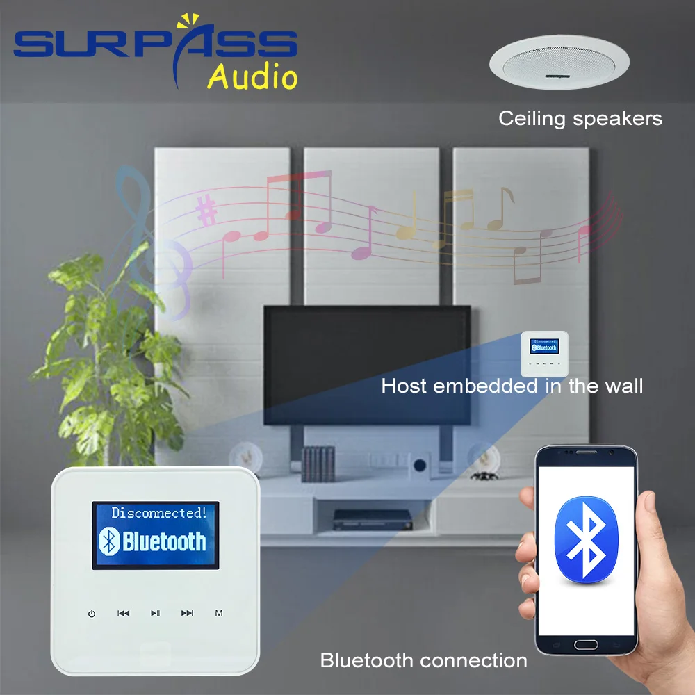 Smart Home,Hotel Audio Music Sound System Wi-Fi Blue-tooth Mini In Audio Wall Amplifier Panel High Quality Amplifier