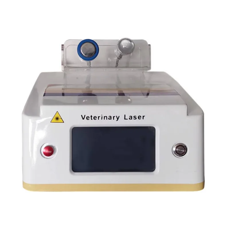 

Laser Pain Veins Removal Machine 980Nm Veterinary Lesion Treatment Eliminate The Pain Dog Laser Machine
