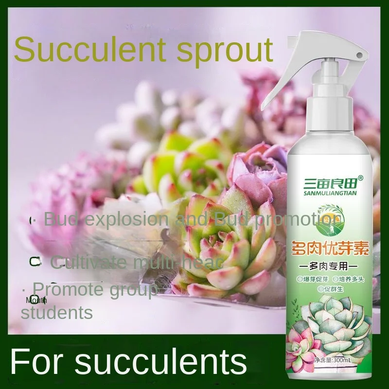 

Succulent plant superior bud burst bud Promoting flower bud spray side bud promoting bud dwarf fat nutrient solution 300ml