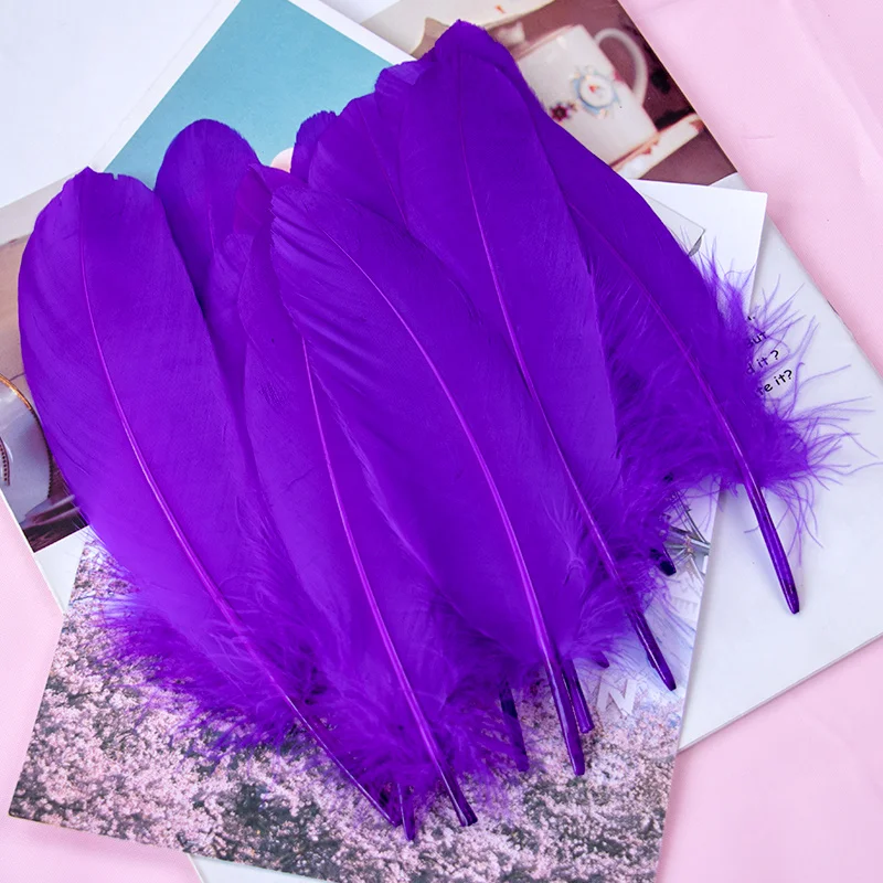 20Pcs Witte Fazant Veren Voor Ambachten Natuurlijke Struisvogel Veer Gans Kalkoen Pluimen Dream Catcher Accessoires Diy Bruiloft Decor