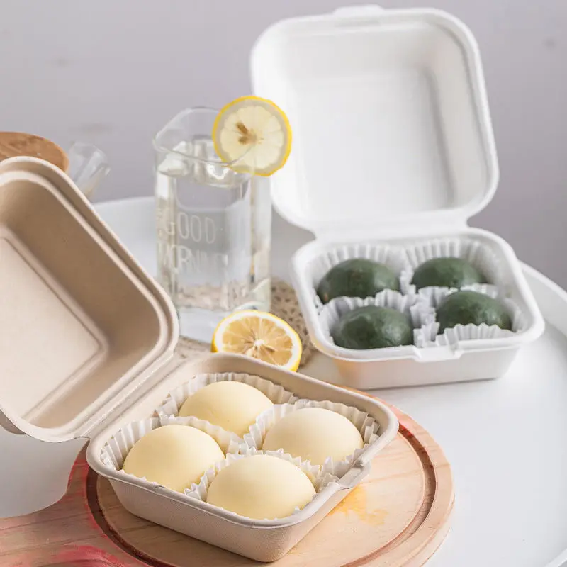 100% Biodegradable Compostable Disposable Bento Box Food Takeaway