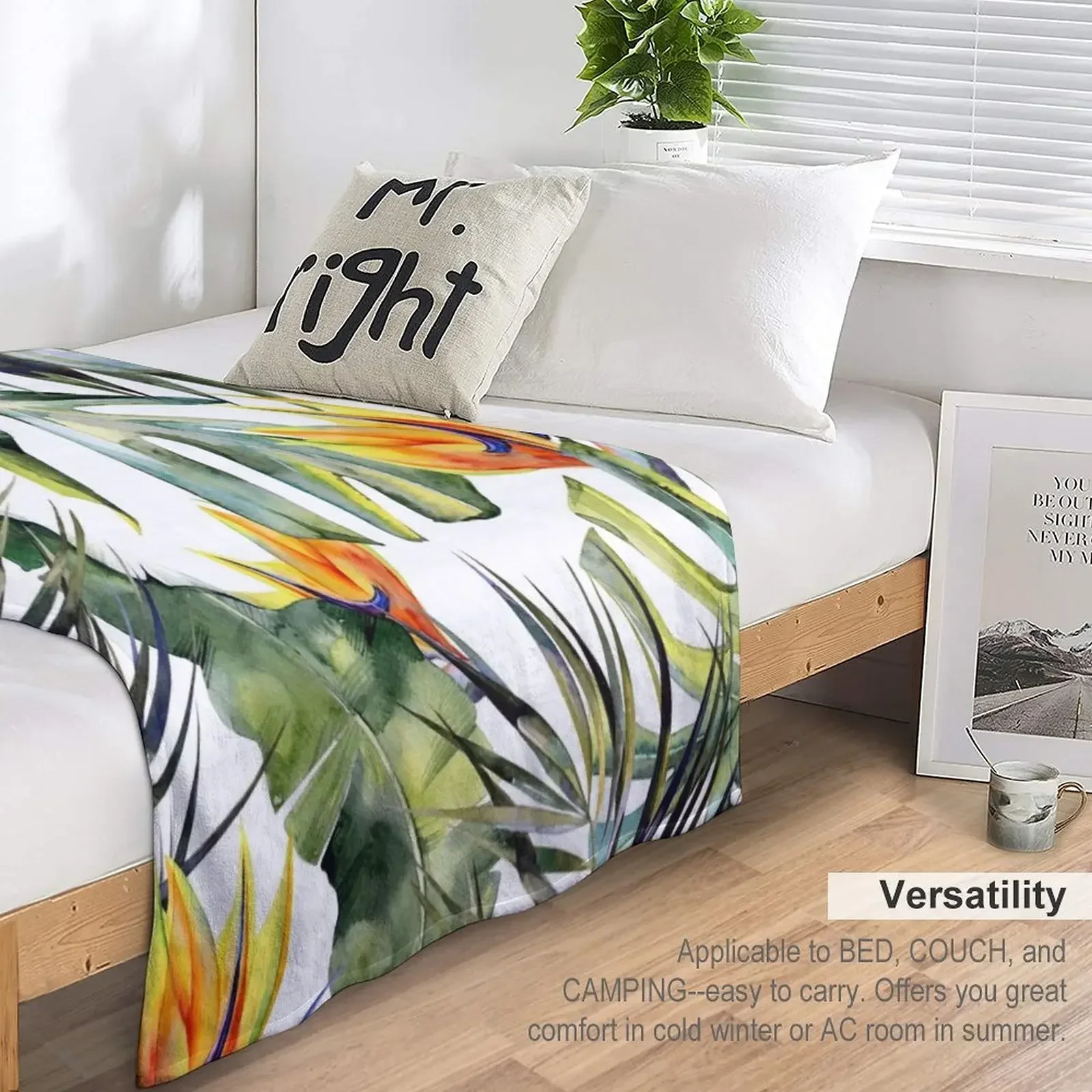 TROPICAL GARDEN ���� ���, ǫ���ϰ� ǫ���� ������ ���