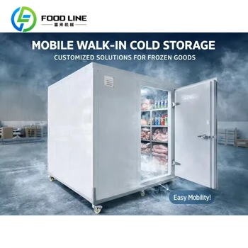 Portable Electric Cold Storage Container 1