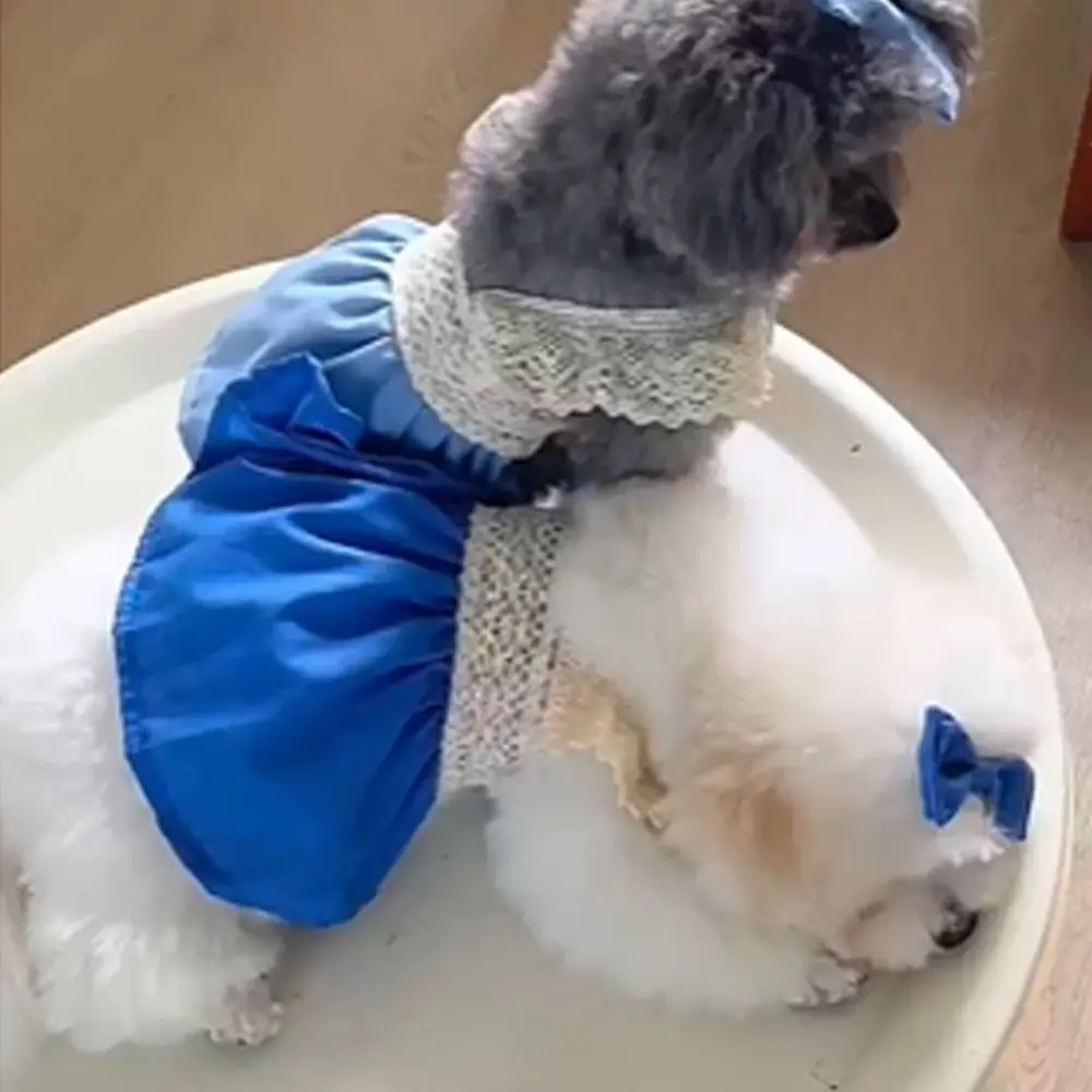 Pet Supplies Lace Pet Lace Denim Dress Soft Breathable Dog Vest Thin Comfortable Pet Clothes Kittens