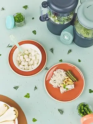 make baby food, baby food maker