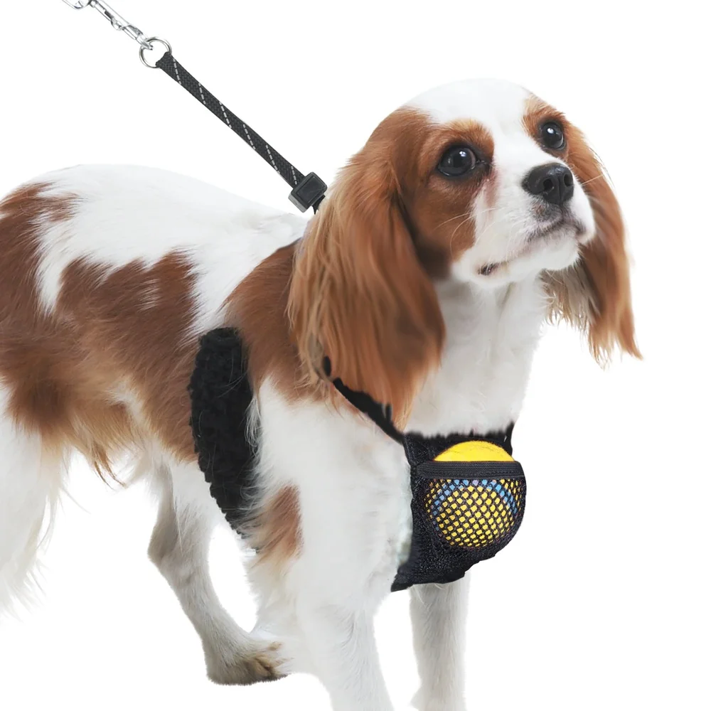 Non-Pulling Dog Harness with Storage Pouch – Adjustable Reflective Lightweight Mesh Step-In Design