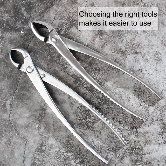 1PC, Multifunctional Gardening Ball Shear Bonsai Tool Round Pruning Pliers Bonsai Scissors Garden Bonsai Tools Scissors Tools 4