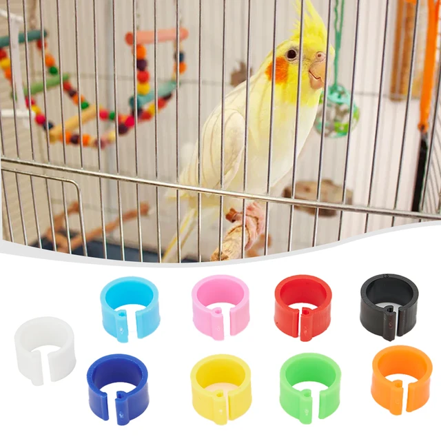 10 colors Plastic Re-use 7mm /0.27 Inch 100Pcs Chicks Rings Clip Poultry Band Bird Pigeon Parrot 2018 New Newest 3