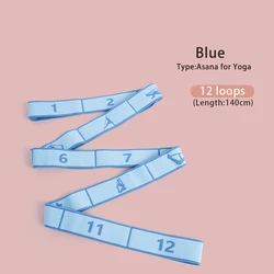 Children's Dance Stretch Band - Elastic Ballet Practice for Stretching & Resistance Training (12 loops Blue Asana)