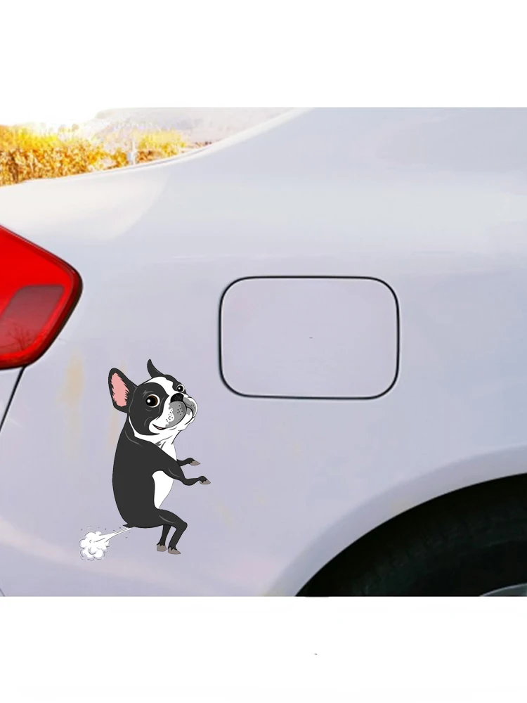 Рисунок 3 - Виниловые водонепроницаемые наклейки