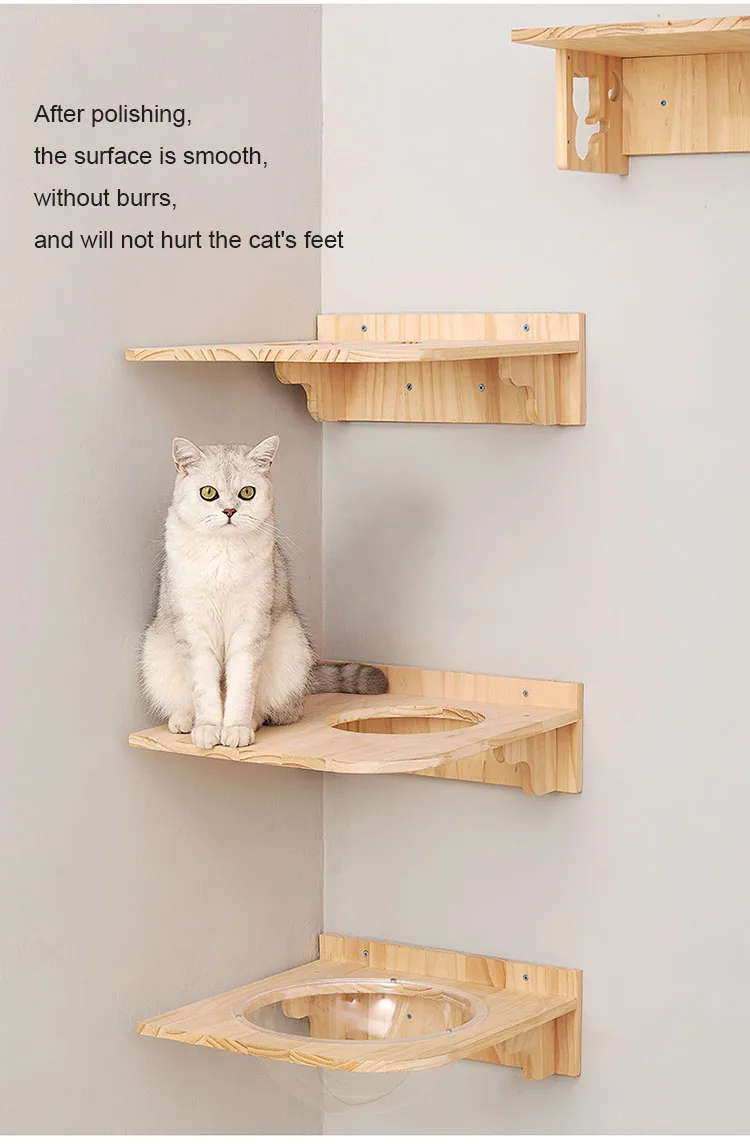 Safa8f72ff5d0487b8134a8fedc7c86ecL