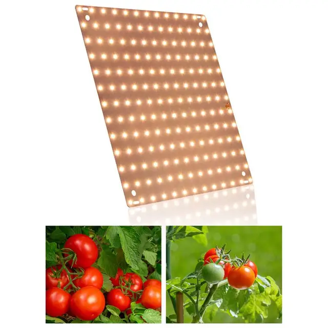 Növényi Led Grow Lights Teljes Spektrum A Beltéri Növények Számára Kvantumlemez Termesztési Lámpák Alacsony Energiafogyasztási Zöldségek - Image 4
