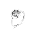 Image 21