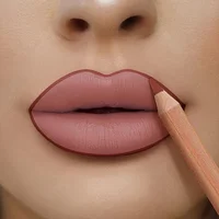 12-Color Velvet Matte Lipstick & Liner Red Contour Tint Lipstick-Waterproof, Long-Lasting Wear , Ideal Gift 1