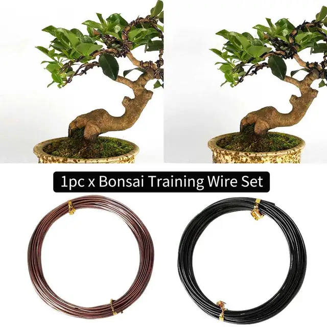 5Rolls Bonsai Edzéshuzal -Készlet Eloxált Alumínium Kezdő Művészek Növények Kerti Könnyű Hajlítás 147 Láb Teljes Barkácsolás Kézműves - Image 5