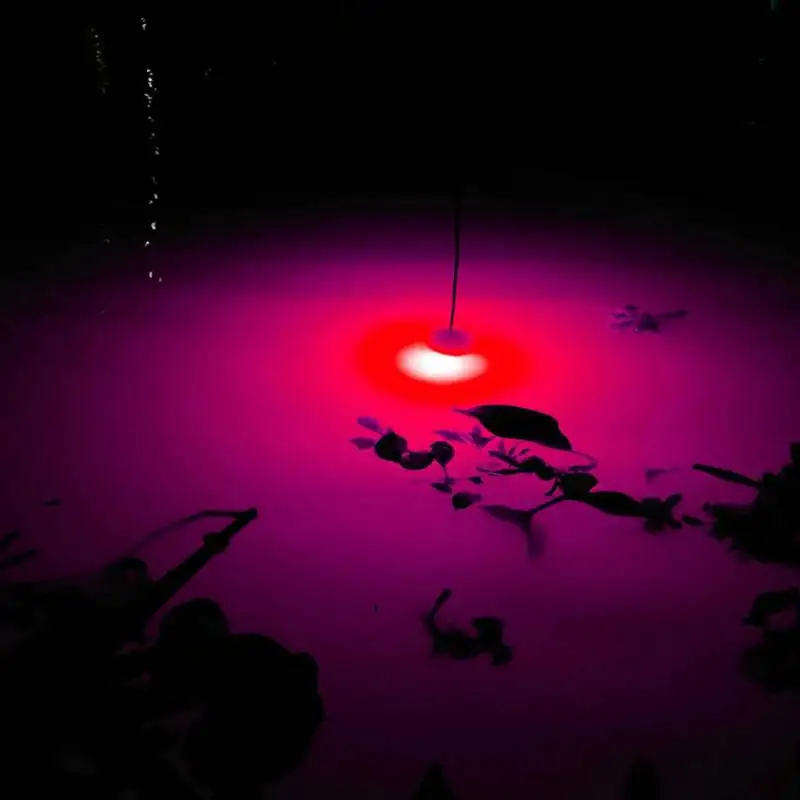 LED Mini Glowing Fishing Lures Deep Sea Drop Underwater Fishing Squid Fish Lure Light Flashing Lamp Tackle