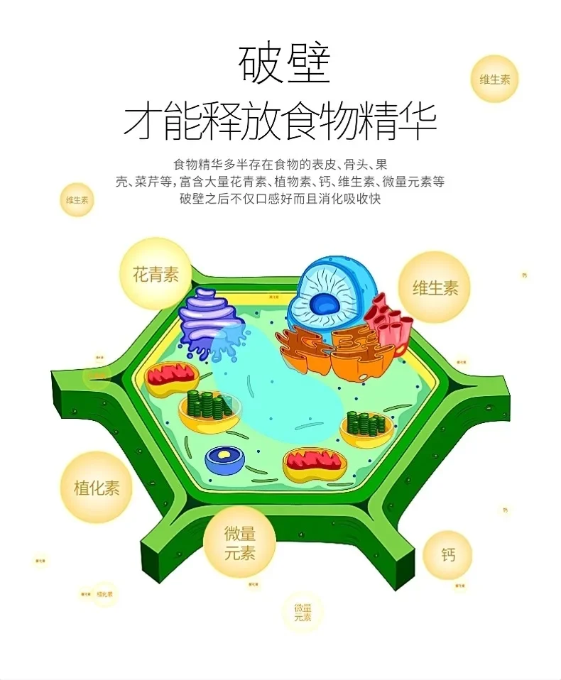 Description Picture 5 of item110V 220V Household Wall Breaker Grinder Sand Ice Grinder Mixer Food Supplement Food Processor Blender  Food Processor  2L