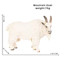 Mountain Goat