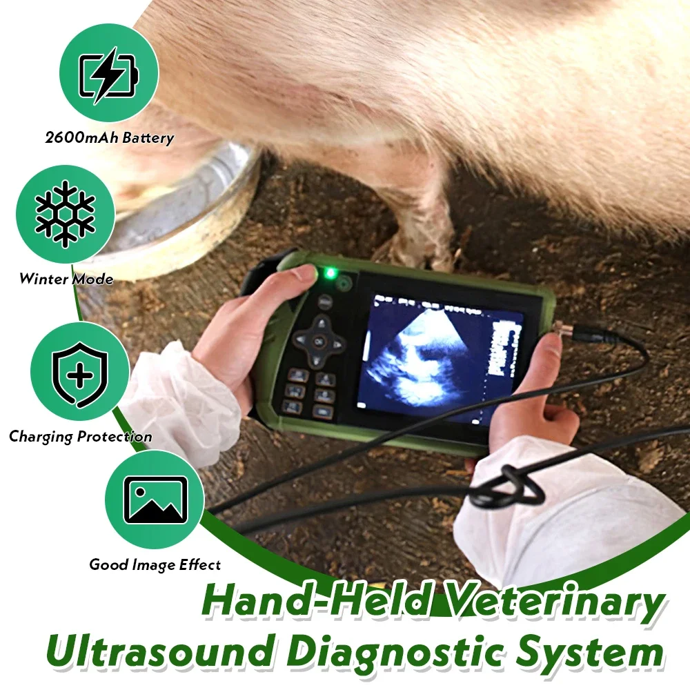Veterinary Ultrasound Scanner 3.5MHz Convex Probe Vet Pregnancy Ultra Machine fo