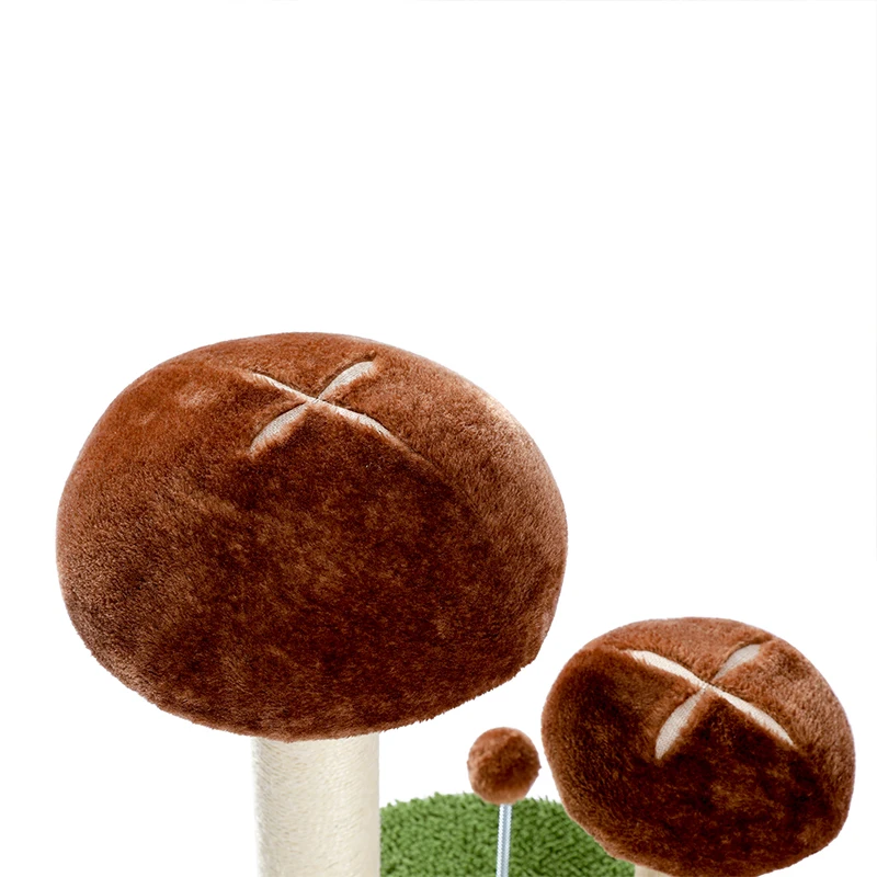 Safc0cfec02fa4b0dbbd9620ba9f48668E