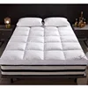 SongKAum 100% White Goose Down/feather Mattresses Thicken Keep warm Tatami High-end Five-star Hotel Mattress King Queen Size 5