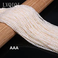 Natural Freshwater Pearl Beads High Quality Rice Shape Punch Loose Beads For DIY Necklace Bracelet Jewelry Making 2-2.5mm 1