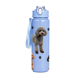 750ml Reusable Leakproof Water Bottle with Adorable Animal Print - 750ml (B)