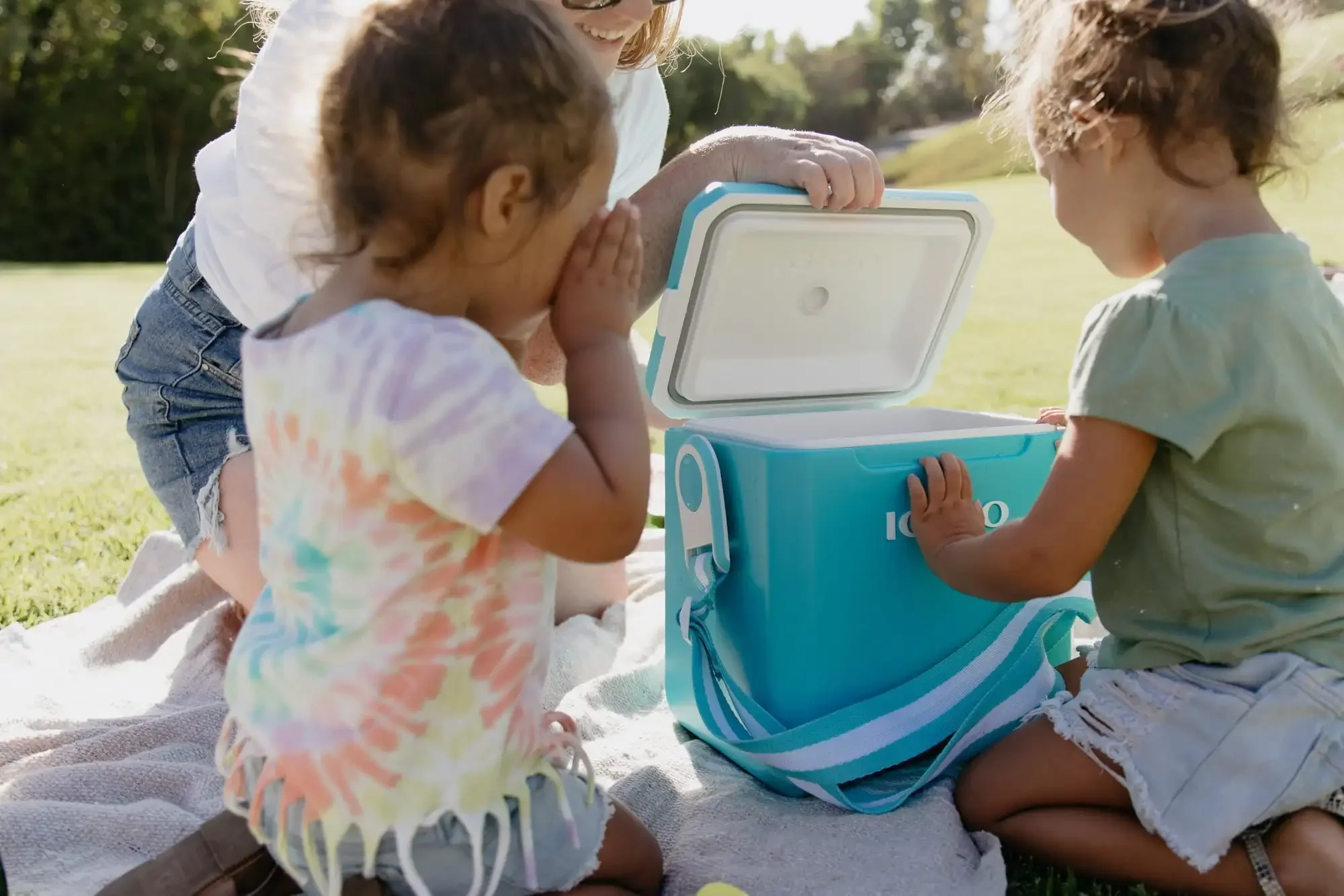 11 Quart Tag Along Too Hard Side Cooler Igloo