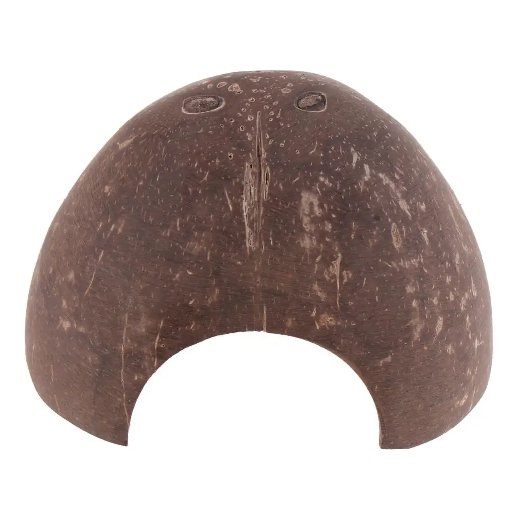Natural Hut-Non-, Coconut Reptile Hideouts, , Aquarium Fish
