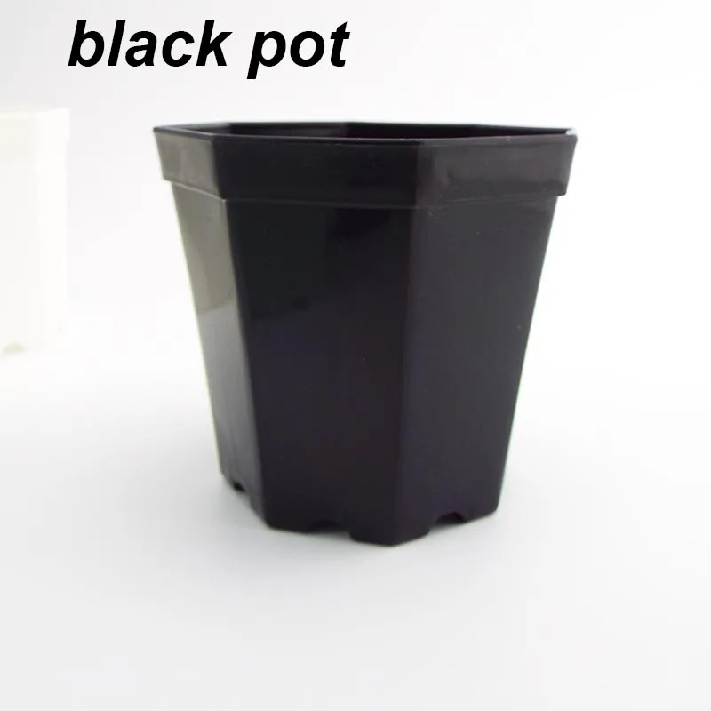 black pot