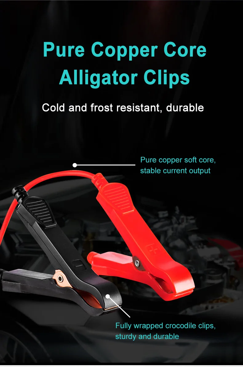 EAFC Tragbares 6A/8A 12V Smart Batterieladegerät Automatisch für Erhaltungslithium LiFePO4 Blei-Säure-Batterien Auto Motorrad Ladegerät – Detail 19