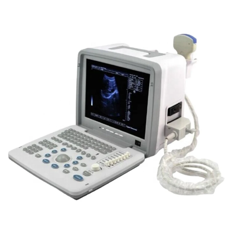 

Scanner Ultrasound Machines Electric CE 12 Inch Ultrasonic Transducer Free Spare Parts 1 PC Convex Probe 6.5 KG