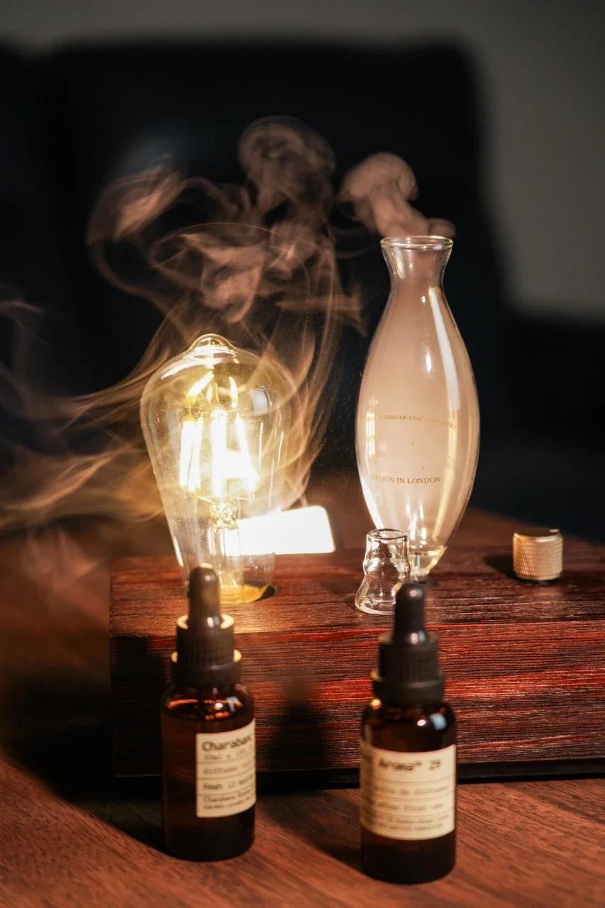 Vintage Aroma Diffuser With Tungsten Filament Lamp And Humidifier_voghion.com